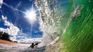 Illustration for article titled Tell Me You Don't Want To Go To Hawaii After Seeing These Pictures
